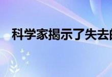 科学家揭示了失去的80亿光年的宇宙演化
