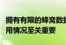 拥有有限的蜂窝数据计划那么监控您的数据使用情况至关重要