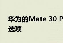 华为的Mate 30 Pro具有四摄和纯素食皮革选项