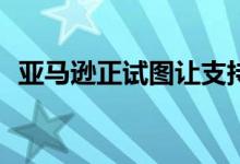 亚马逊正试图让支持Alexa的小工具更有趣